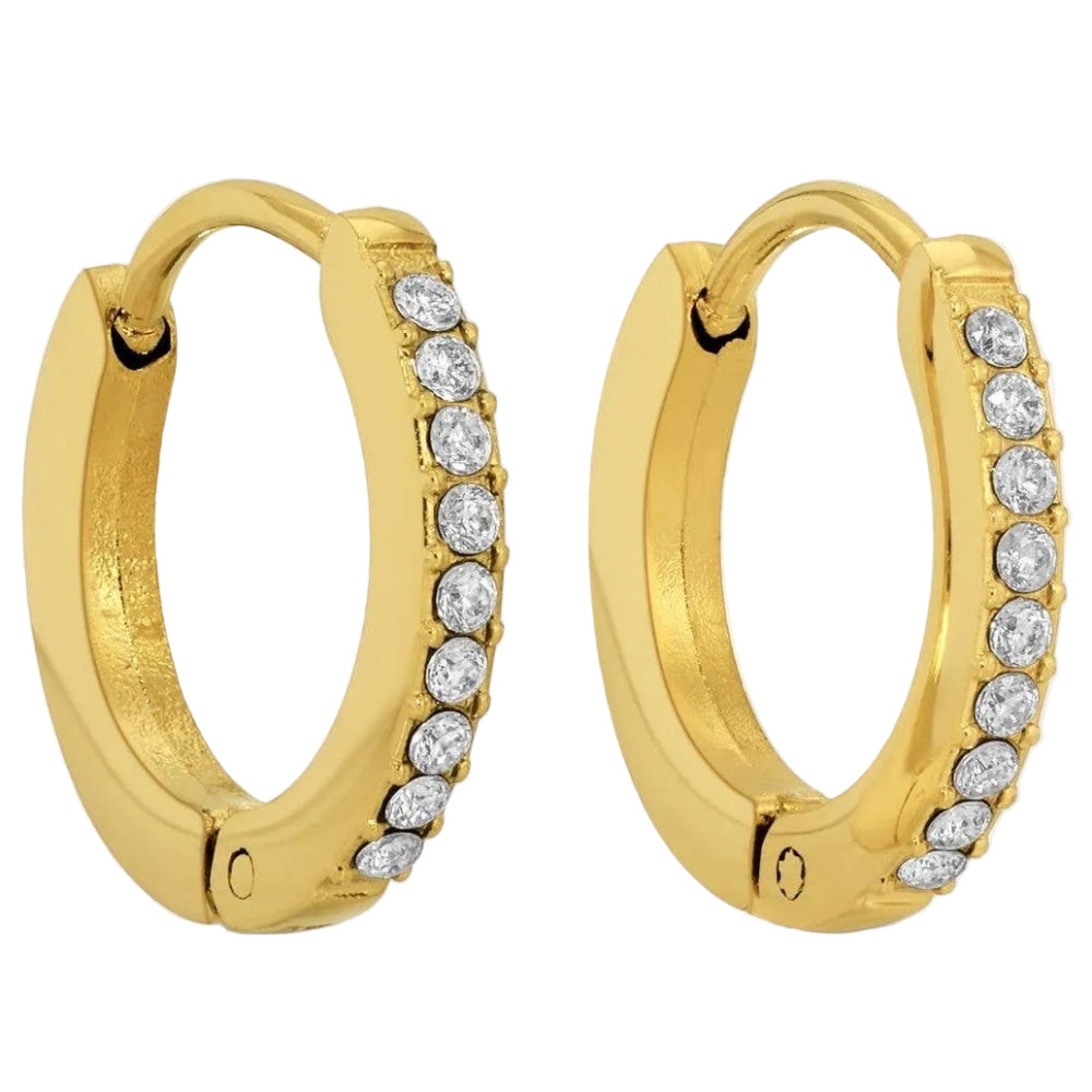 Splendid Iris Gold PVD Plated Cubic Zirconia "Shimmer Huggie" Earrings