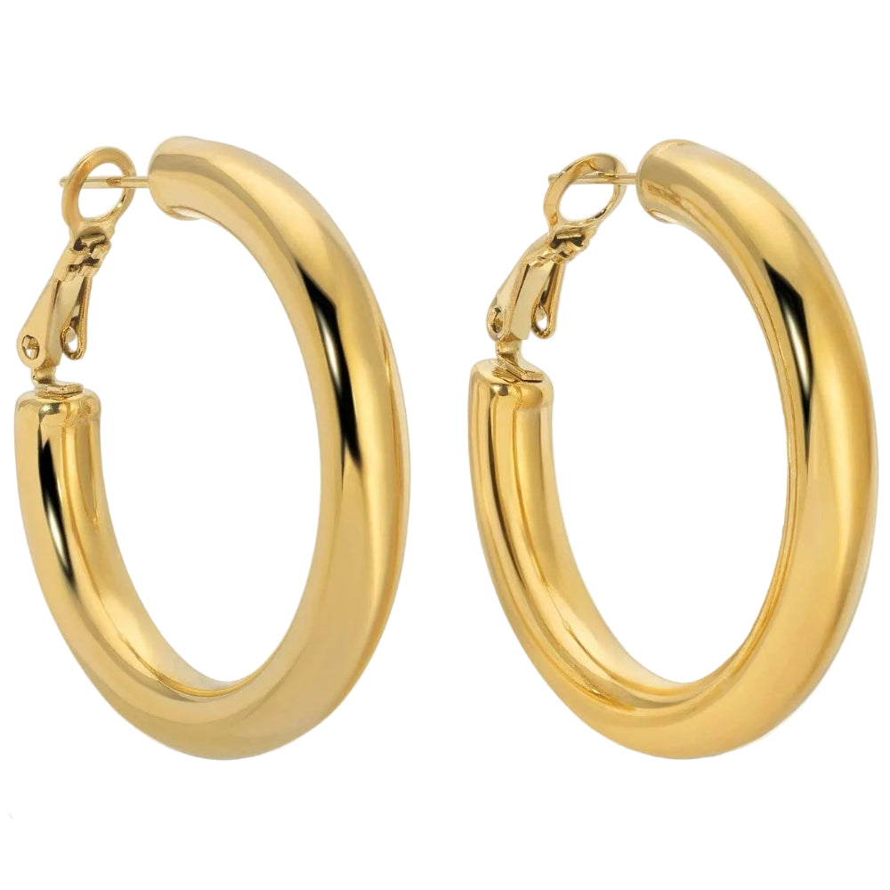 Splendid Iris Gold Latchback Hoop Earrings