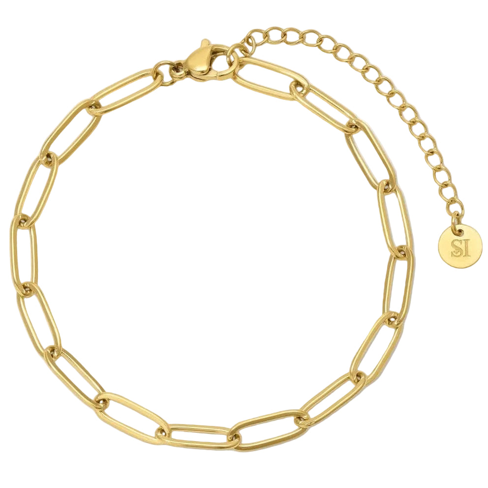 Splendid Iris Gold PVD Plated Paperclip Bracelet
