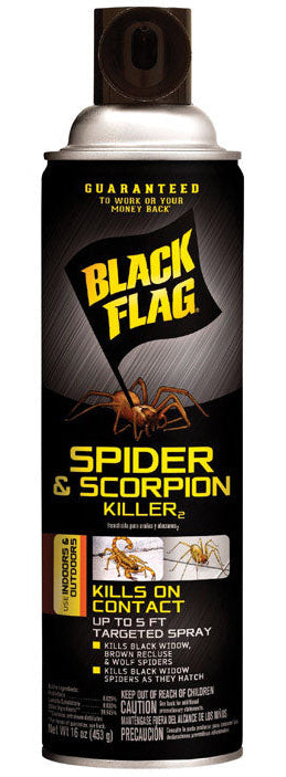 Black Flag Spider & Scorpion Killer (Aerosol) - 16 oz.