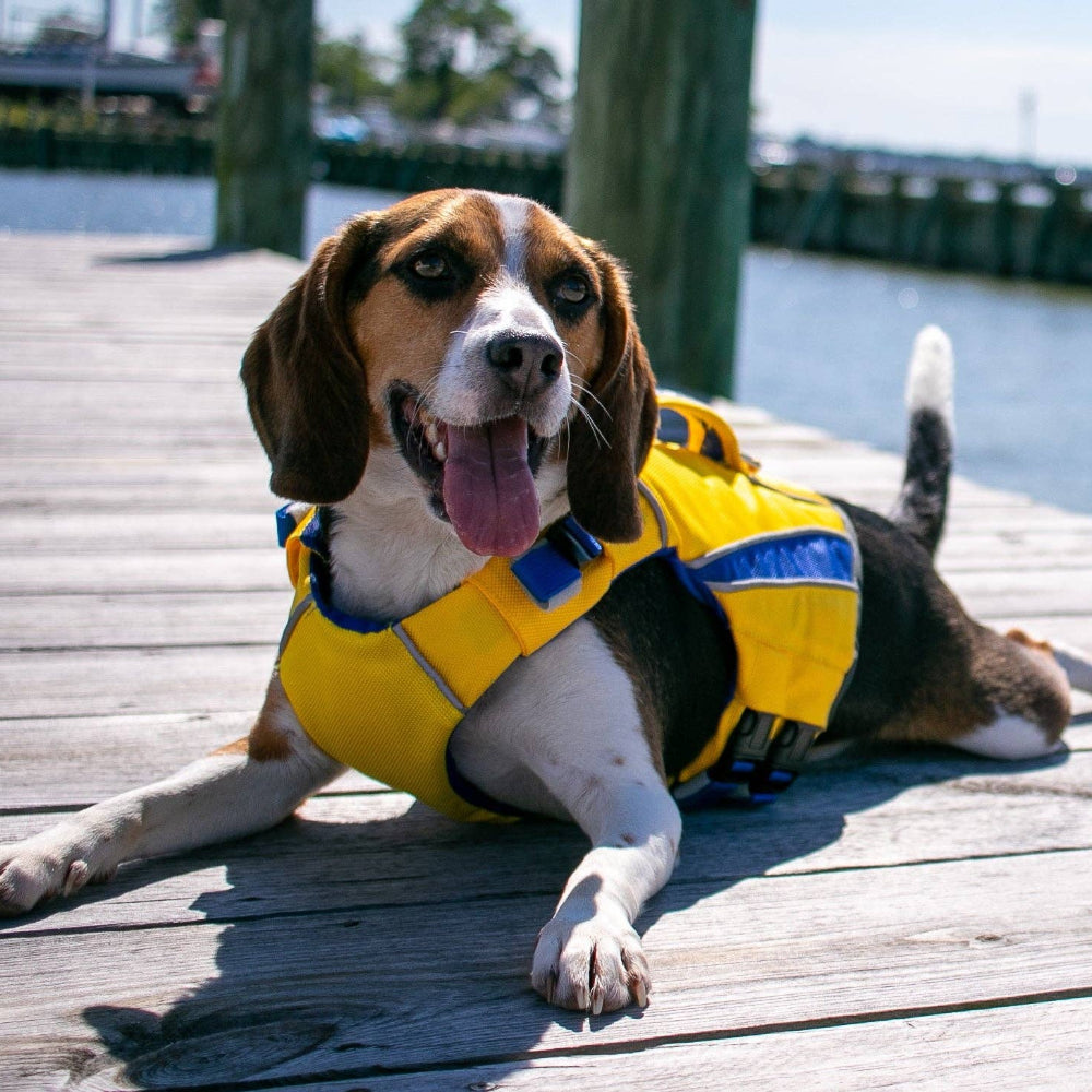 Baydog Monterey Dog Life Jacket