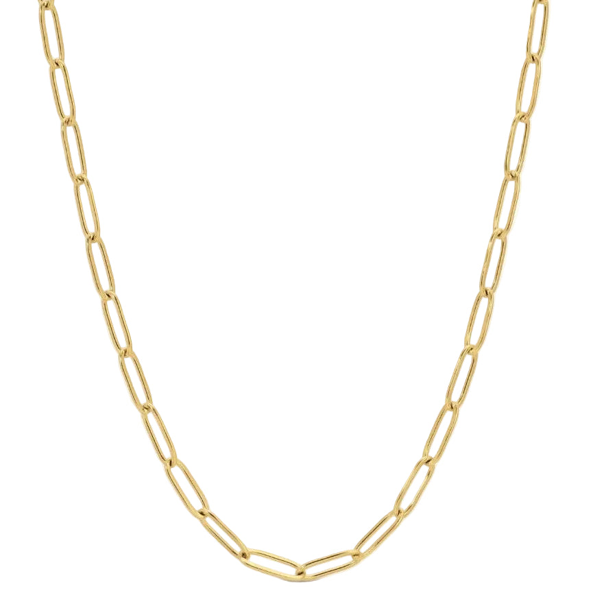 Splendid Iris Gold PVD Plated Paperclip Necklace