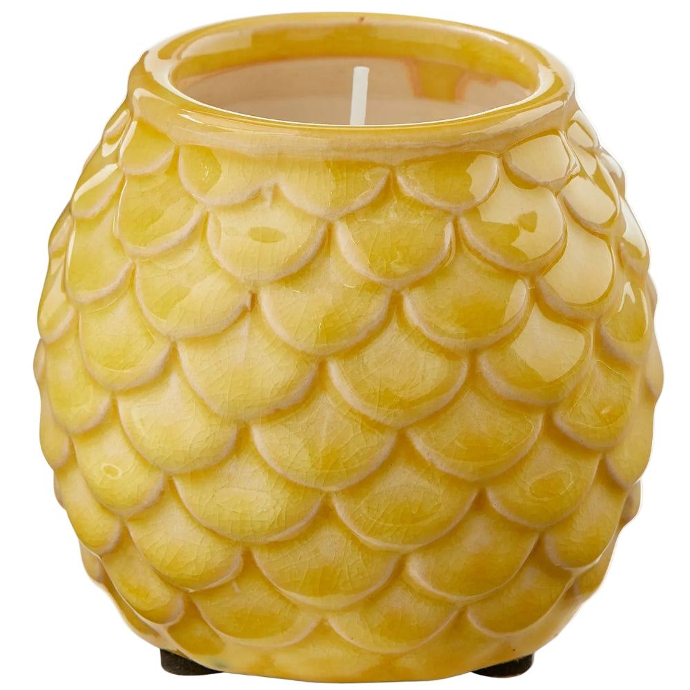 TAG Glazed Terracotta Citronella Candles - 3.17 oz.