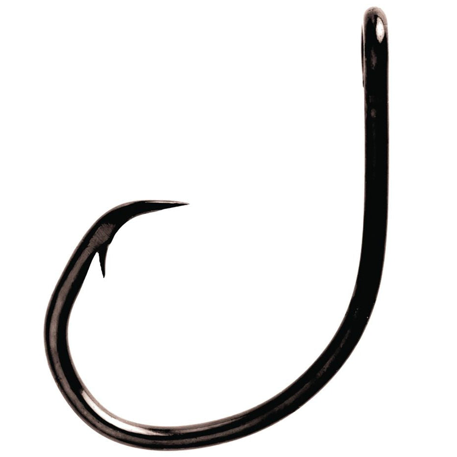 Eagle Claw Lazer Sharp Black Nickel Circle Hooks