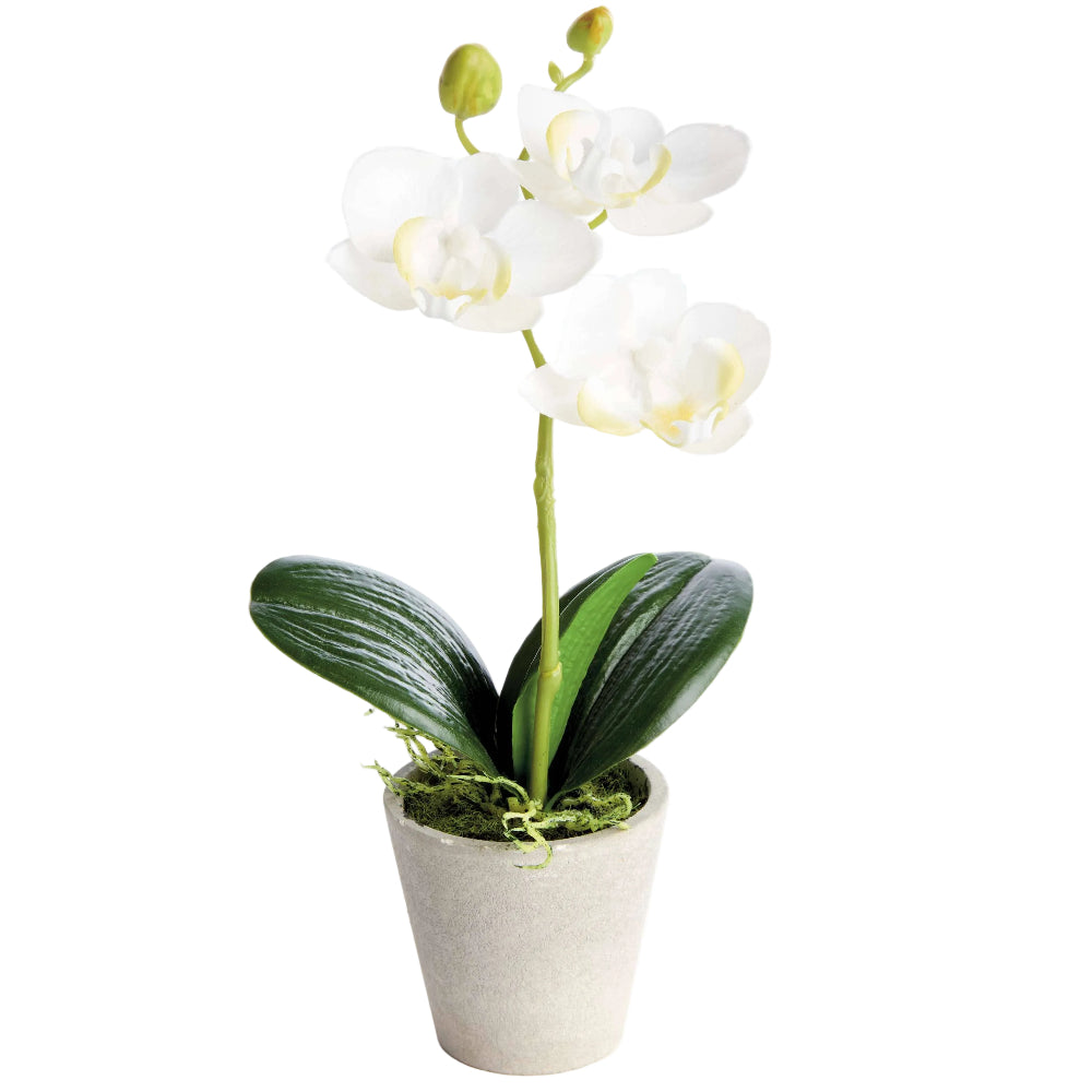 Napa Potted Faux Mini Phalaenopsis Orchid - 9"