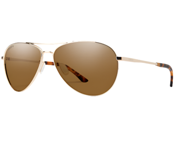 Smith Optics Langley 2 Polarized Sunglasses