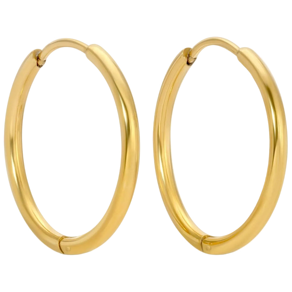 Splendid Iris Gold PVD Plated Basic Huggie Earrings