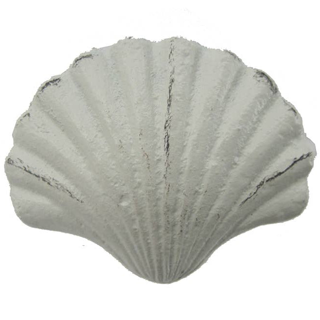 CB Home Cast Iron Scallop Shell Drawer Pull - 2.1" x 2.6"