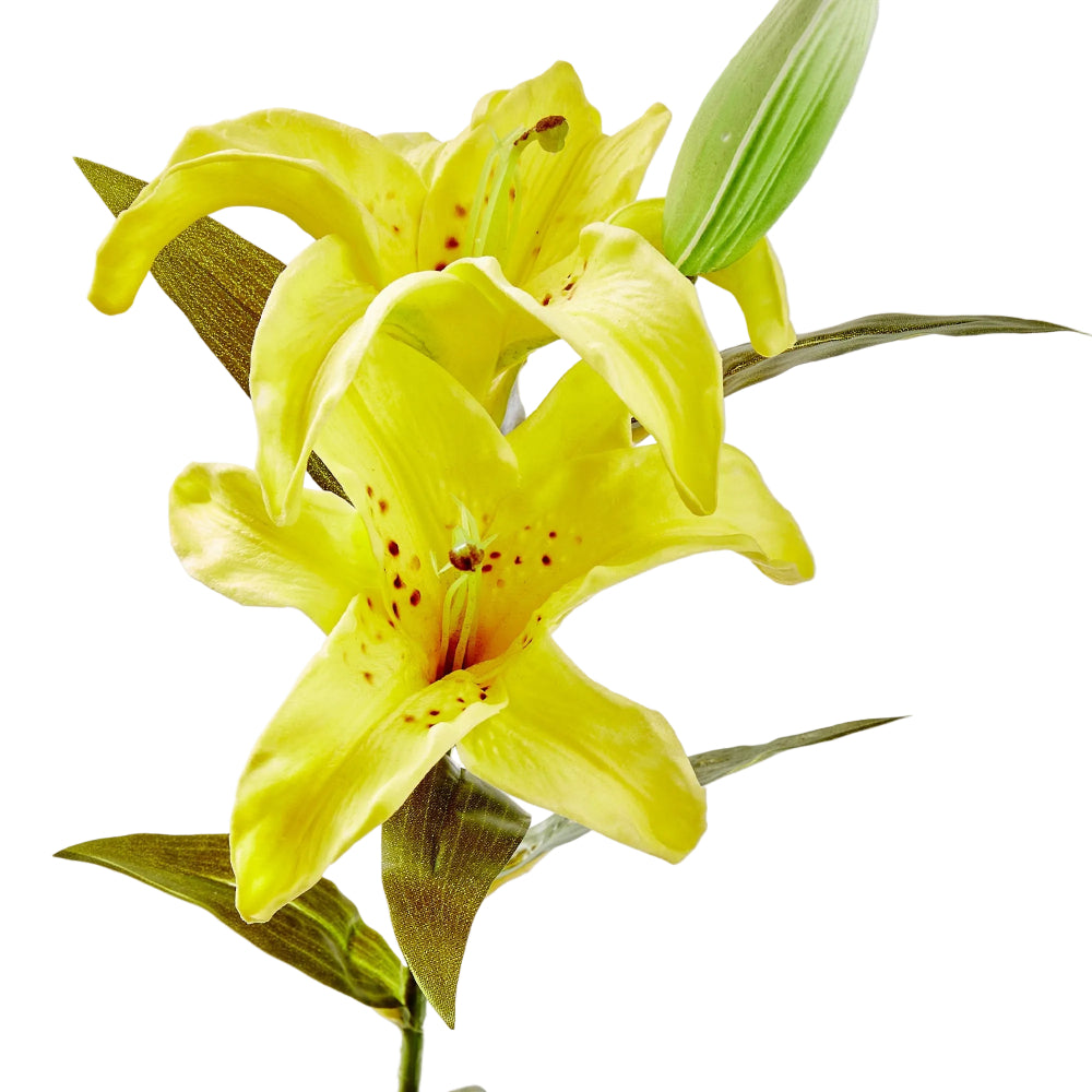 TAG Soft Touch Faux Lily - 23"