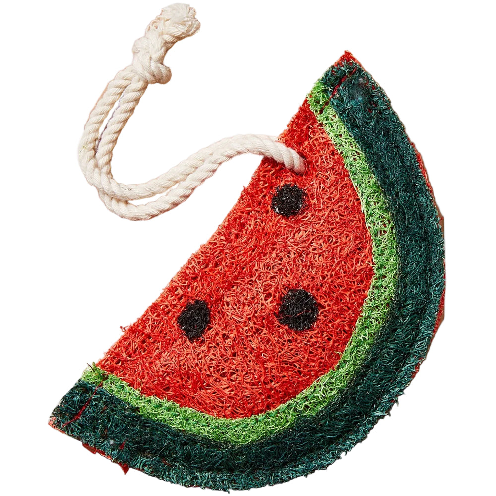 TAG Biodegradable Loofah Sponges - 4.25" x 4.25"
