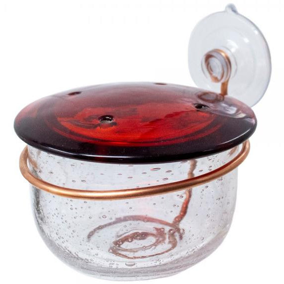 Songbird Copper Wire & Glass Suction Cup Hummingbird Feeder - 4 oz.