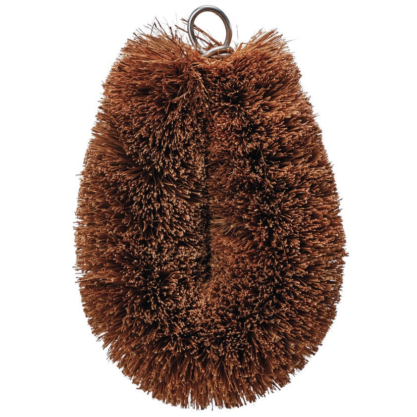 Creative Co-Op Coco Fiber Vegetable Brush - 3" x 4.25"