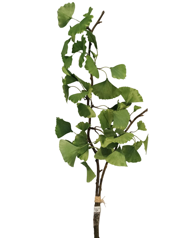 Napa Faux Ginkgo Branch Pair - 36"