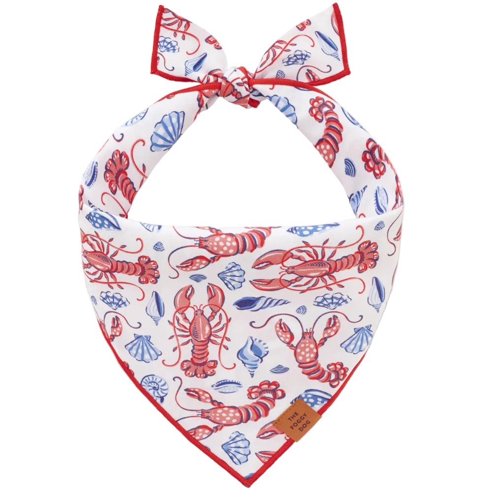 Foggy Dog Cotton Bandana - Lobster Landing