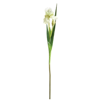 Napa Faux Bearded Iris Stem - 37"