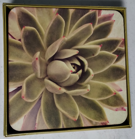 RockFlowerPaper  Artful Coasters (Square) - 4 pc.