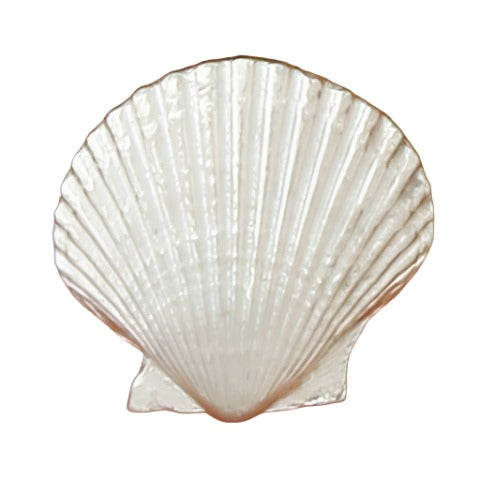 Basic Spirit Ocean-Themed Pewter Cabinet Knobs - 1.25"