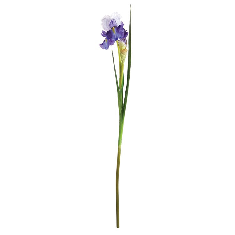 Napa Faux Bearded Iris Stem - 37"